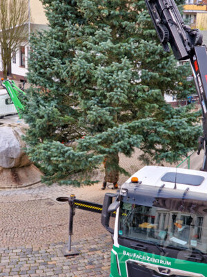 Foto des Albums: Der Weihnachtsbaum wurde aufgestellt