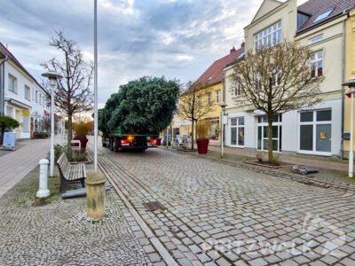 Foto des Albums: Der Weihnachtsbaum wurde aufgestellt