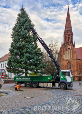 Foto des Albums: Der Weihnachtsbaum wurde aufgestellt