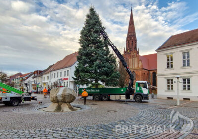 Foto des Albums: Der Weihnachtsbaum wurde aufgestellt