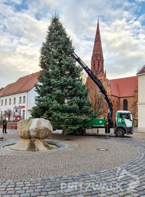Foto des Albums: Der Weihnachtsbaum wurde aufgestellt
