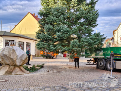 Foto des Albums: Der Weihnachtsbaum wurde aufgestellt