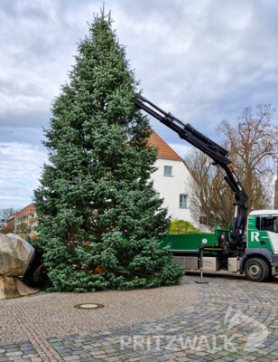 Foto des Albums: Der Weihnachtsbaum wurde aufgestellt