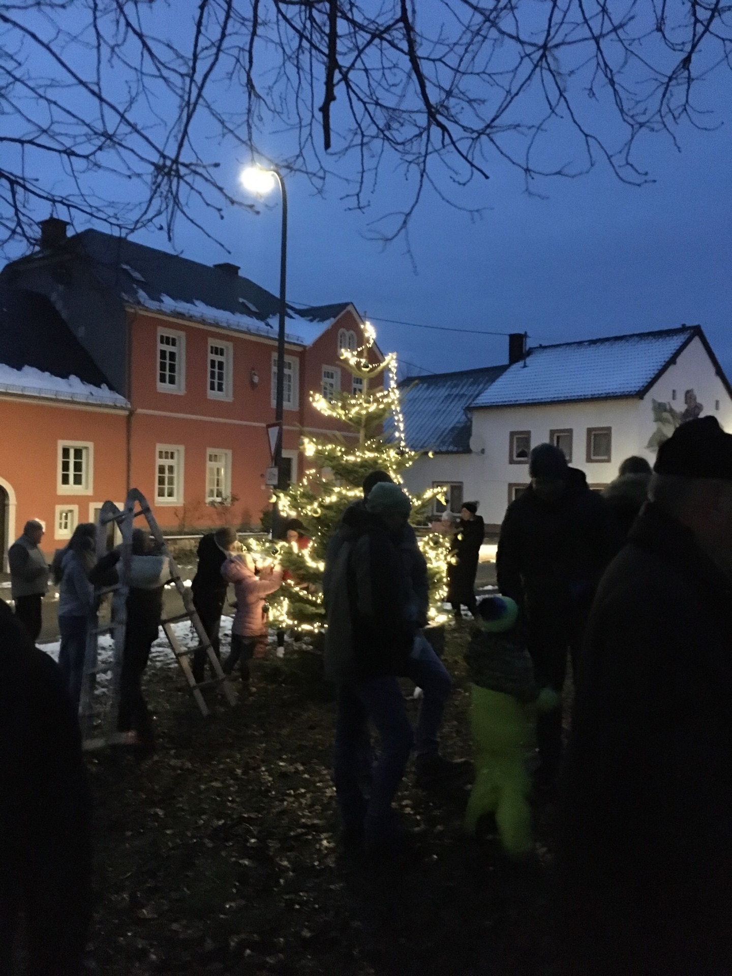 Bild der Galerie