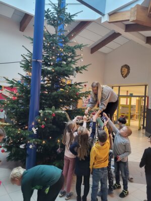 Foto des Albums: Tannenbaum schmücken