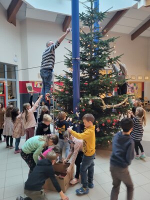 Foto des Albums: Tannenbaum schmücken
