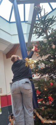 Foto des Albums: Tannenbaum schmücken