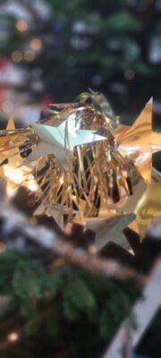 Foto des Albums: Tannenbaum schmücken