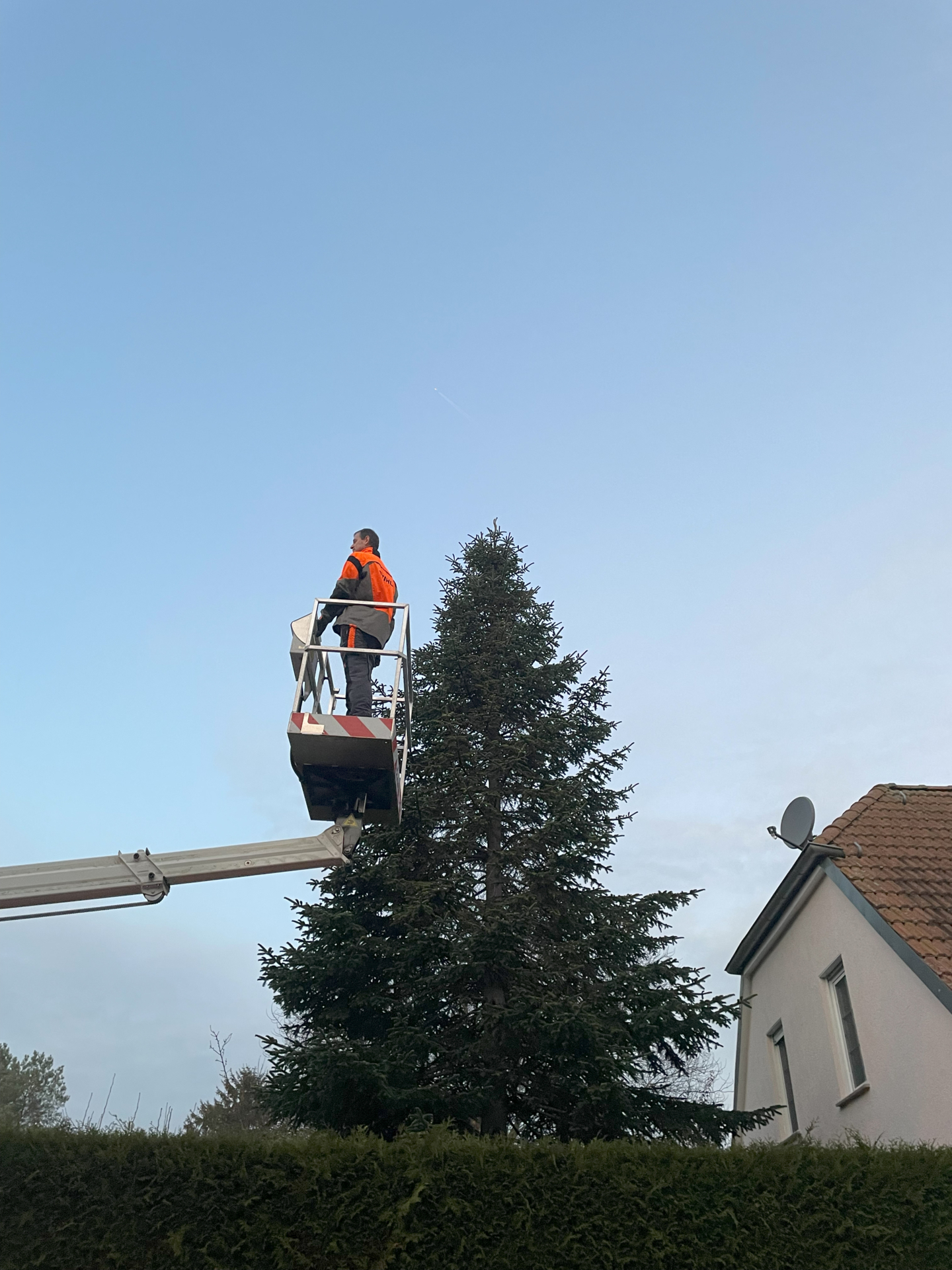 Bild: Weihnachtsbaum Jüterbog271124 001