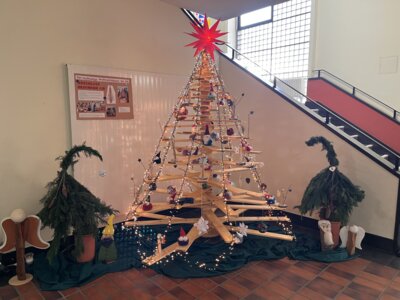 Foto des Albums: Weihnachtsbaum 2024