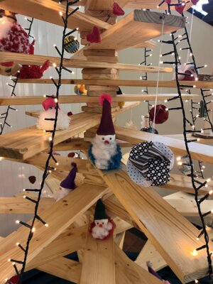 Foto des Albums: Weihnachtsbaum 2024