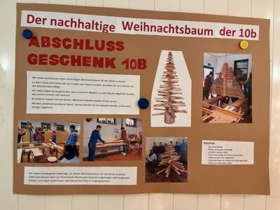 Foto des Albums: Weihnachtsbaum 2024