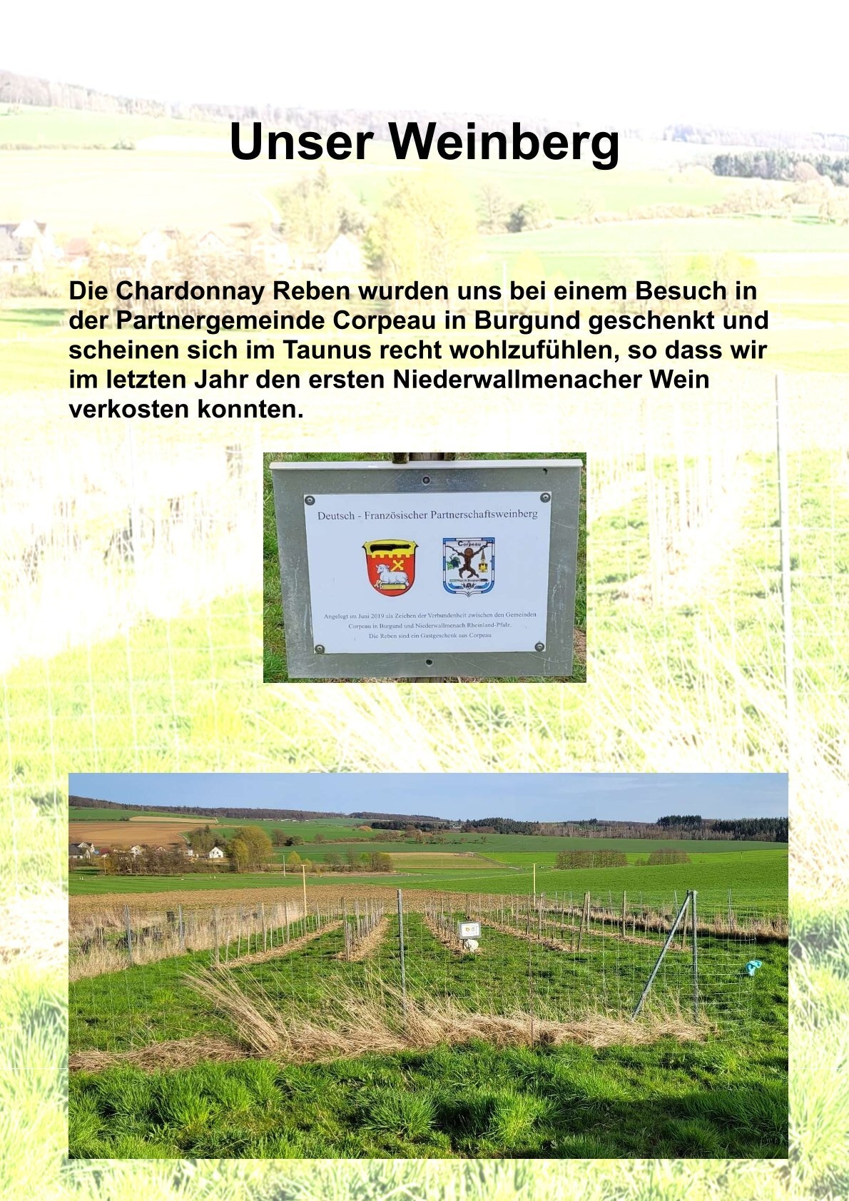 Bild: 0001