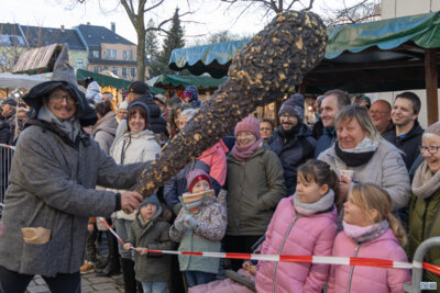 Foto des Albums: Märchenumzug 2024