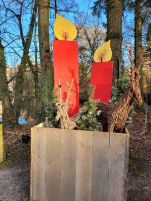 Foto des Albums: Weihnachtszauber auf Schloss Bückeburg