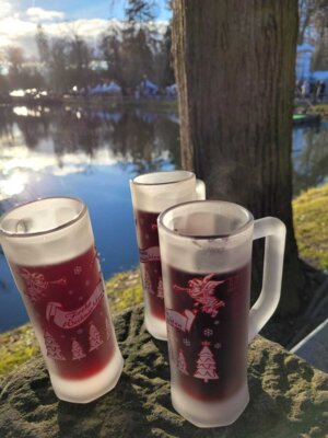 Foto des Albums: Weihnachtszauber auf Schloss Bückeburg