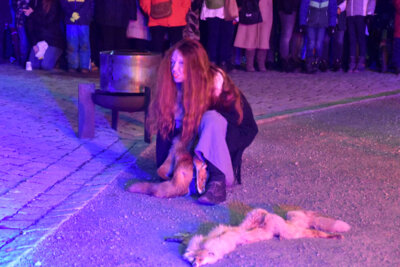 Foto des Albums: Christkindlmarkt Simbach 2024