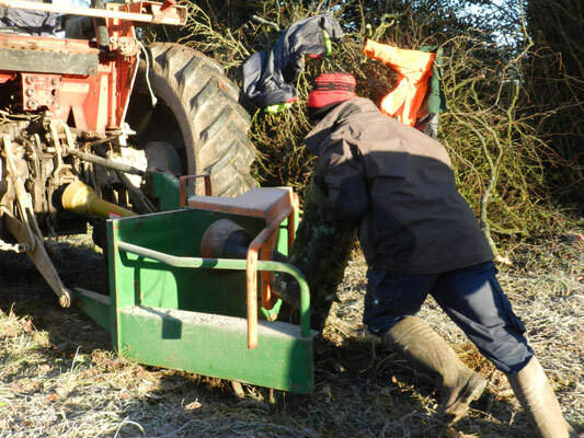 Bild: Forstarbeiten der Azubi´s