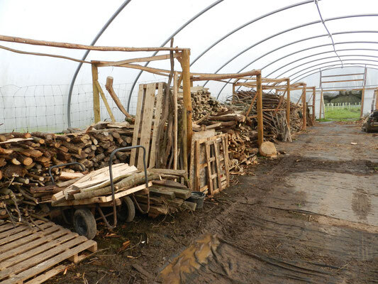Bild: Forstarbeiten der Azubi´s