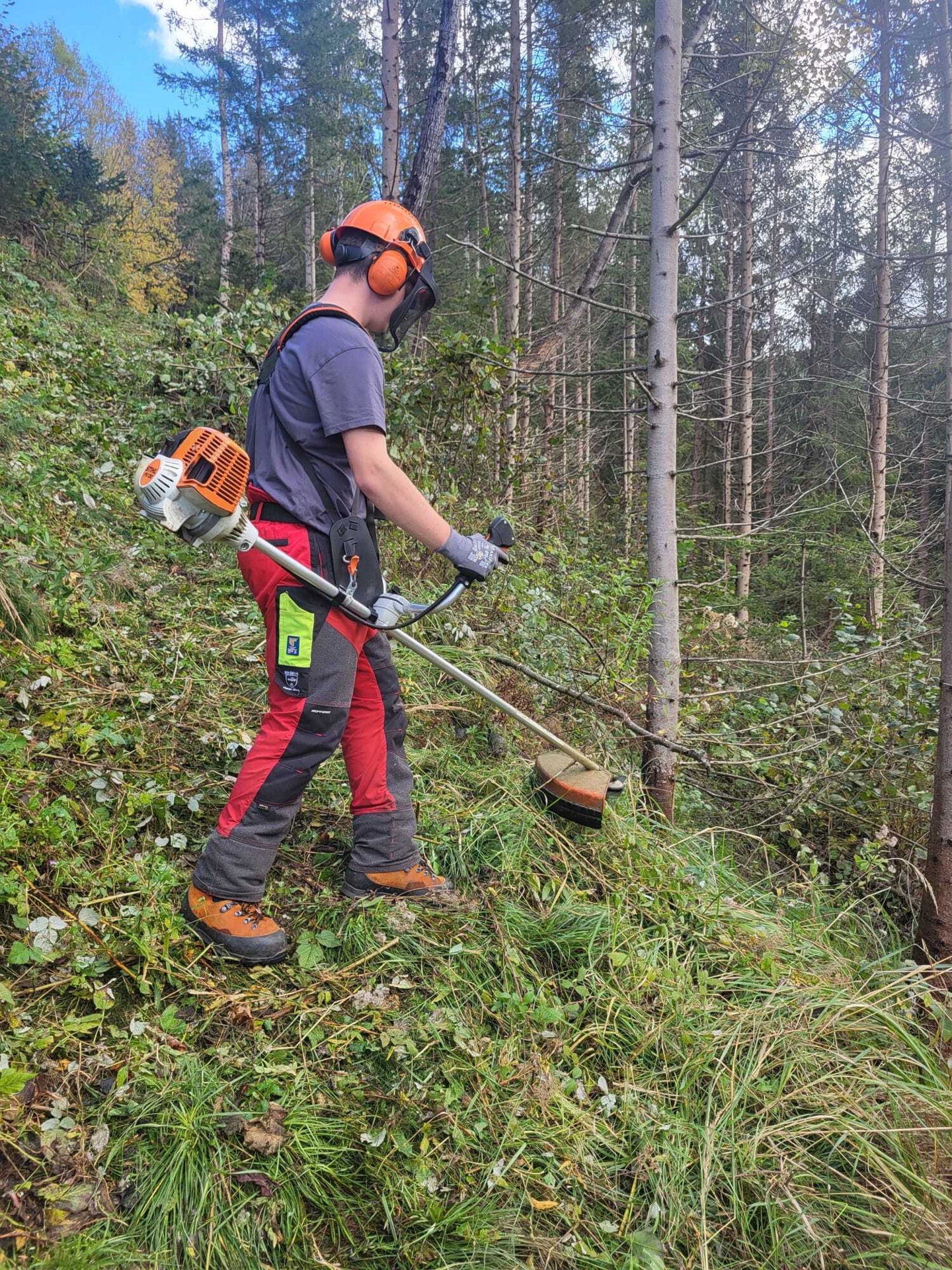 Bild: Forstarbeiten am Steilhang