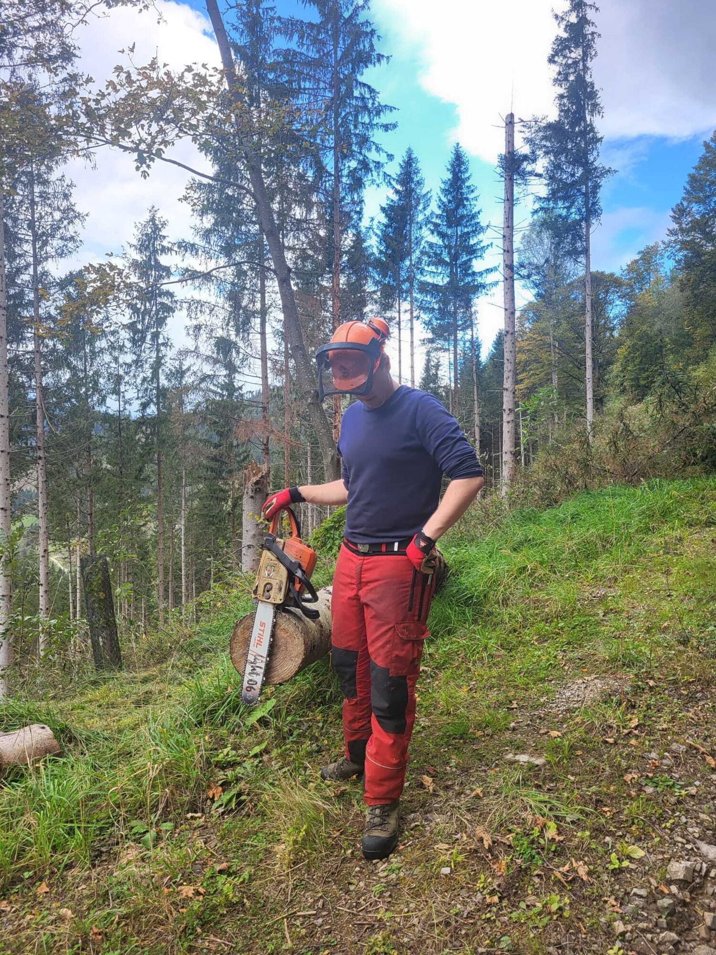 Bild: Forstarbeiten am Steilhang