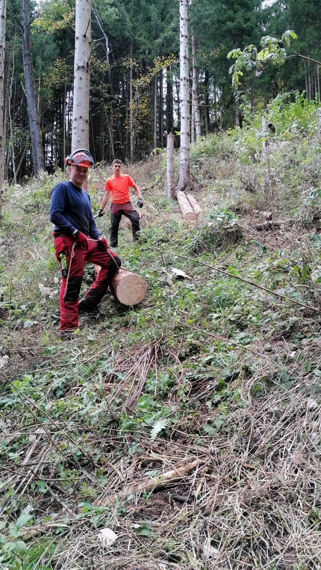 Bild: Forstarbeiten am Steilhang