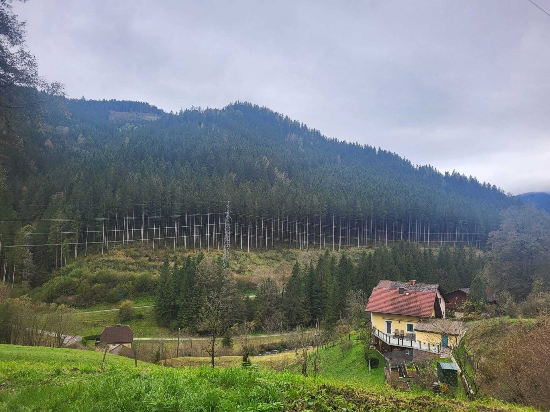 Bild: Landschaftsbild