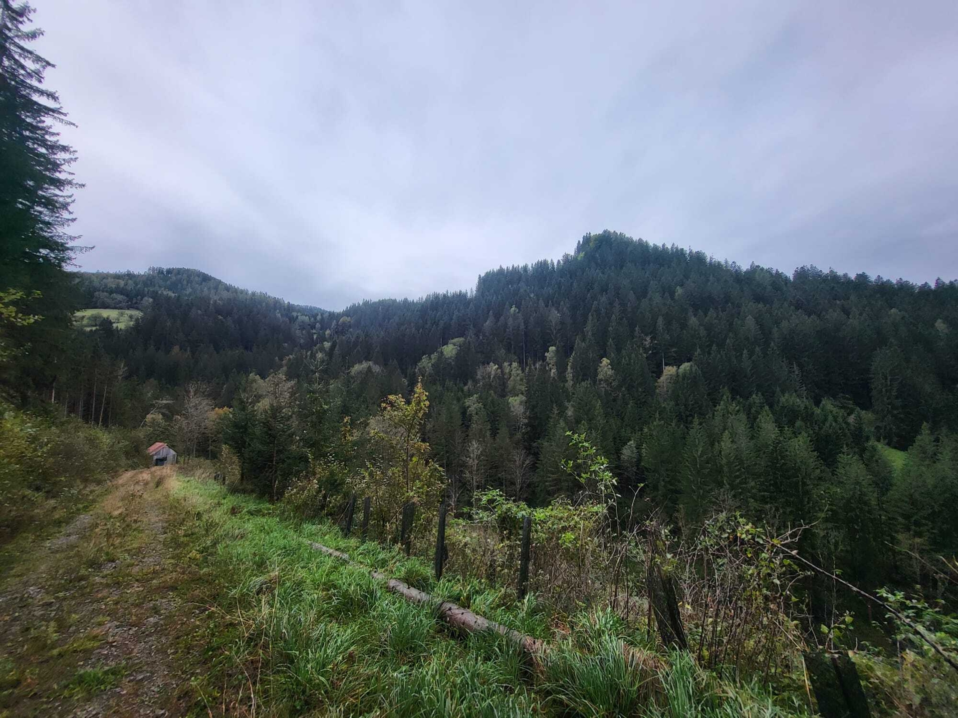 Bild: Landschaftsbild