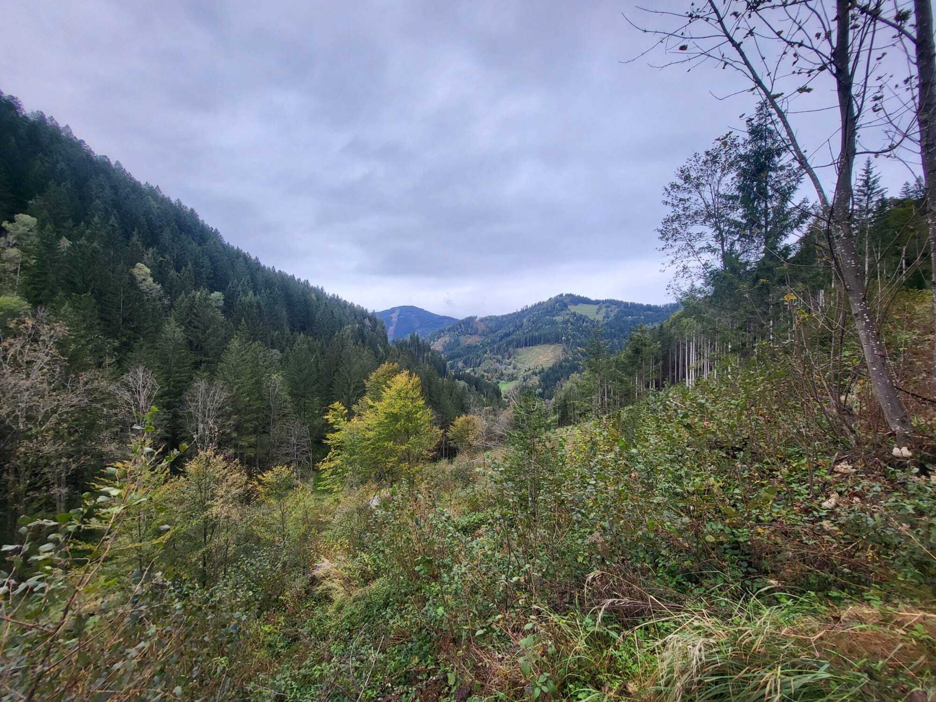 Bild: Landschaftsbild