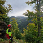 Bild: Forstarbeiten am Steilhang