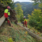 Bild: Forstwirte am Steilhang