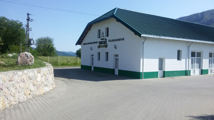 Bild der Galerie