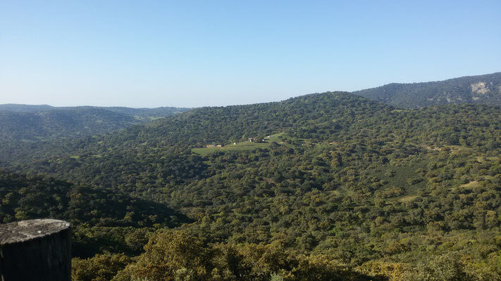 Bild: Landschaftsauszug