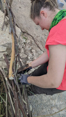 Bild: Landschaftspflege