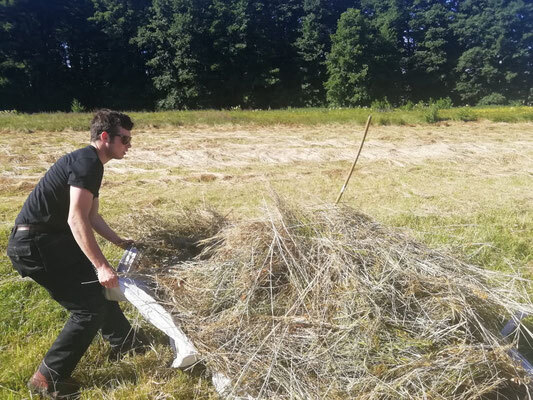 Bild: Vorbereitungen für den Kettensägewettbewerb