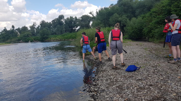 Bild: Bootsausflug auf der Mulde