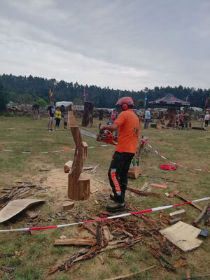 Bild: Teilnahme am Kettensägewettbewerb auf der Skulpturenwiese in Tornau