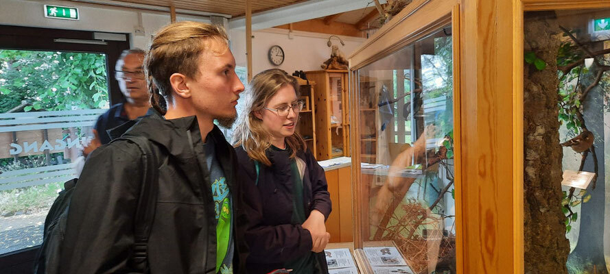 Bild der Galerie