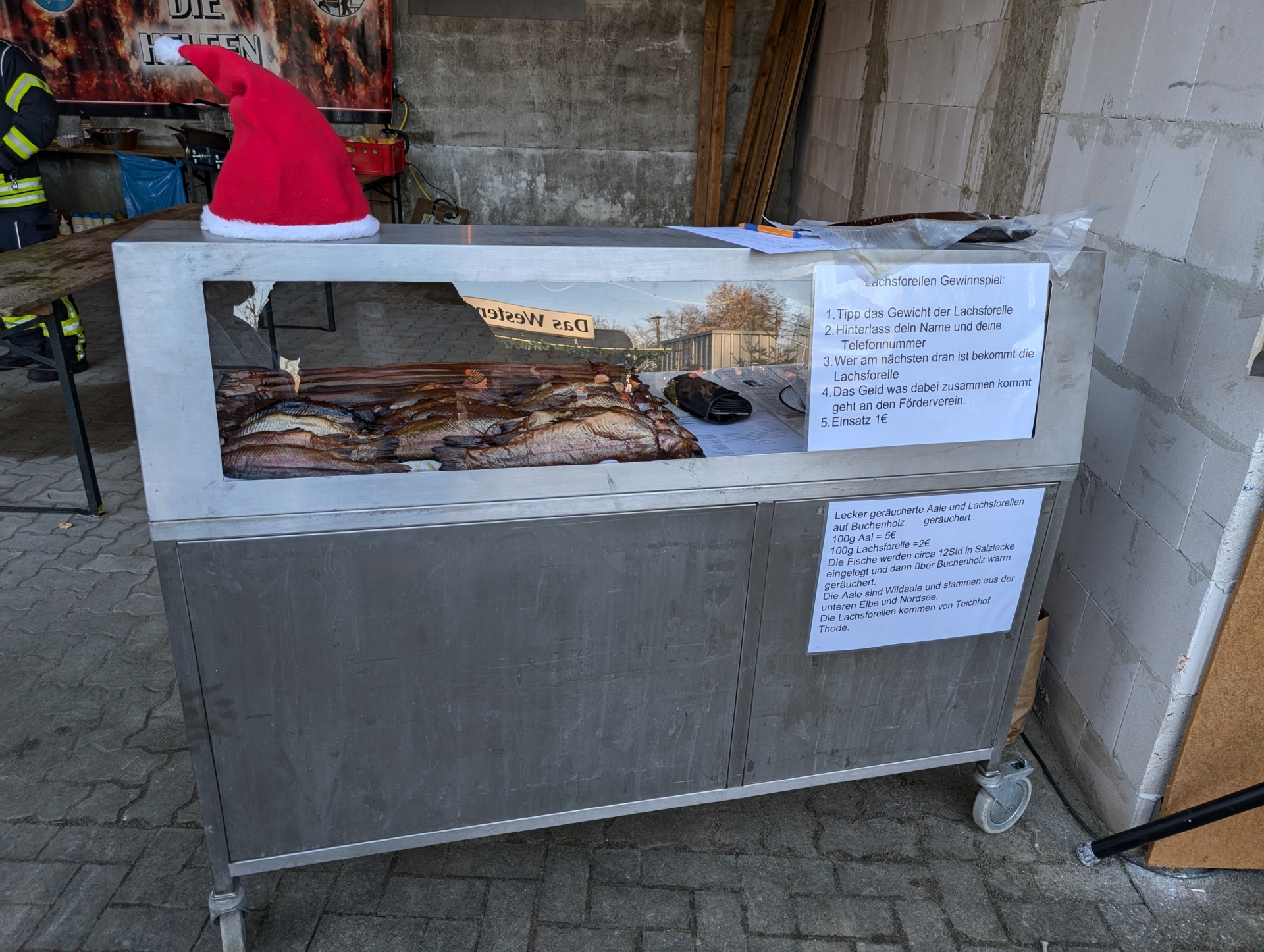 Bild: Forelle und Aal