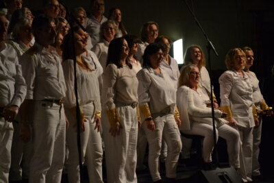 Foto des Albums: Queen Revival Konzert - 20 Jahre New Generation