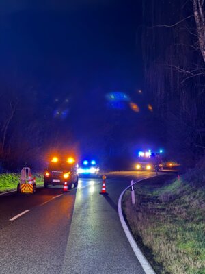 Foto des Albums: Verkehrsunfall L 3047