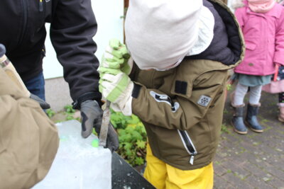 Fotoalbum Mit Lana durch die Eiszeit – Bildungsangebot für Kitas und Grundschule