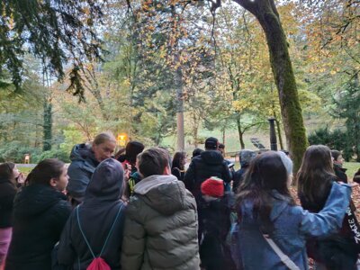 Foto des Albums: Naturparkmodul Fledermaus 2024