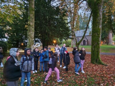 Foto des Albums: Naturparkmodul Fledermaus 2024