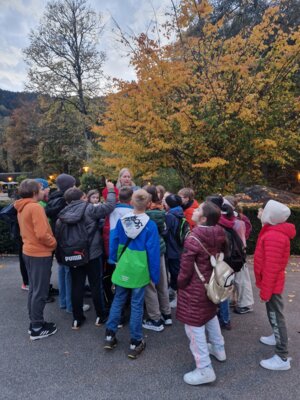 Foto des Albums: Naturparkmodul Fledermaus 2024
