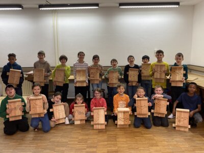 Foto des Albums: Naturparkmodul Fledermaus 2024