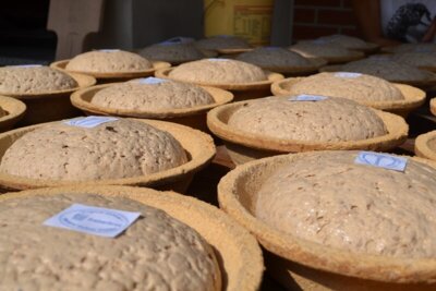 Foto des Albums: Das Herrenhausfest 2013