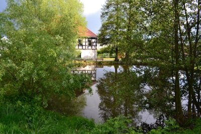 Foto des Albums: Frühlingfest 2011