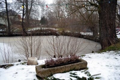 Foto des Albums: Handarbeitsmesse 2013