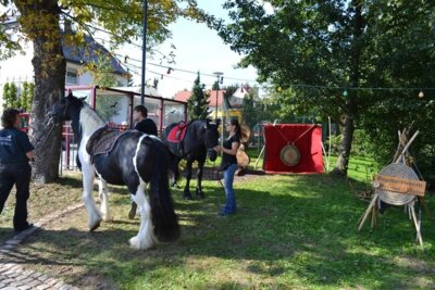 Foto des Albums: Herrenhausfest 2015